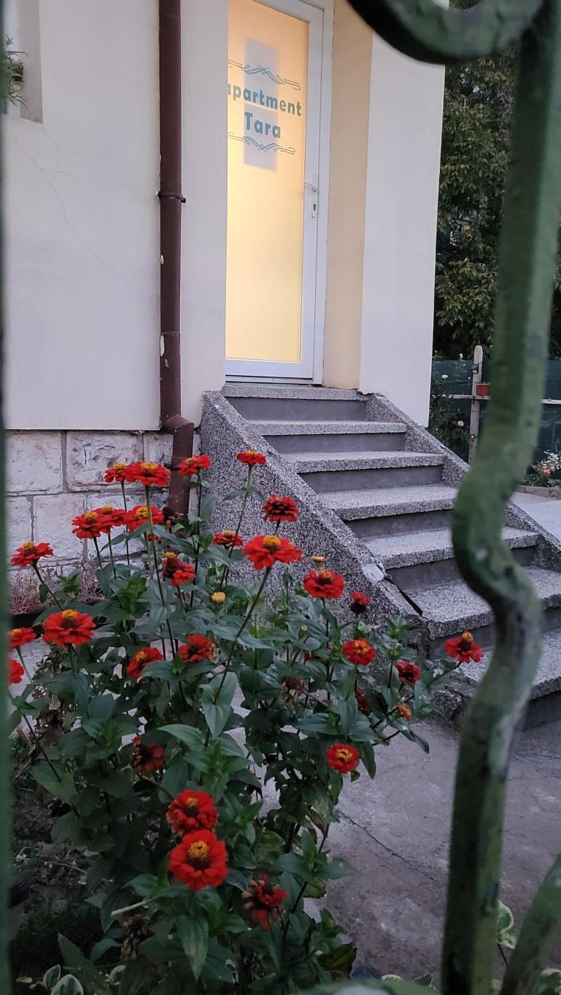 Апартамент За Гости Тара Русе Екстер'єр фото